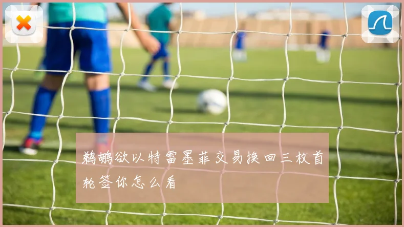 鹈鹕欲以特雷墨菲交易换回三枚首轮签你怎么看